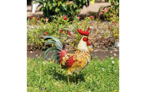 AUBRY GASPARD COQ ME DAN3660